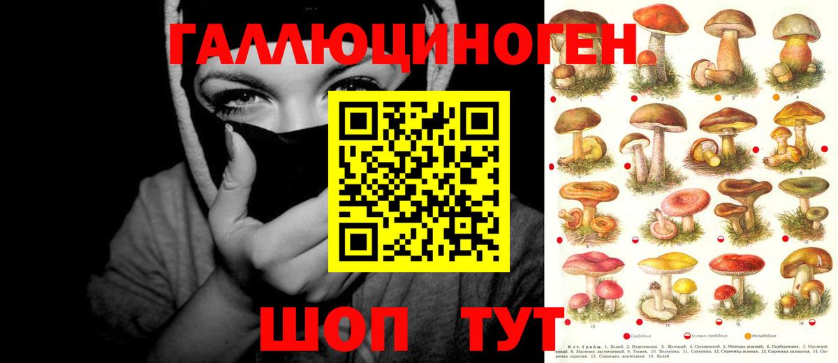 Псилоцибиновые грибы мухоморы  Вход с VPN  Благовещенск 