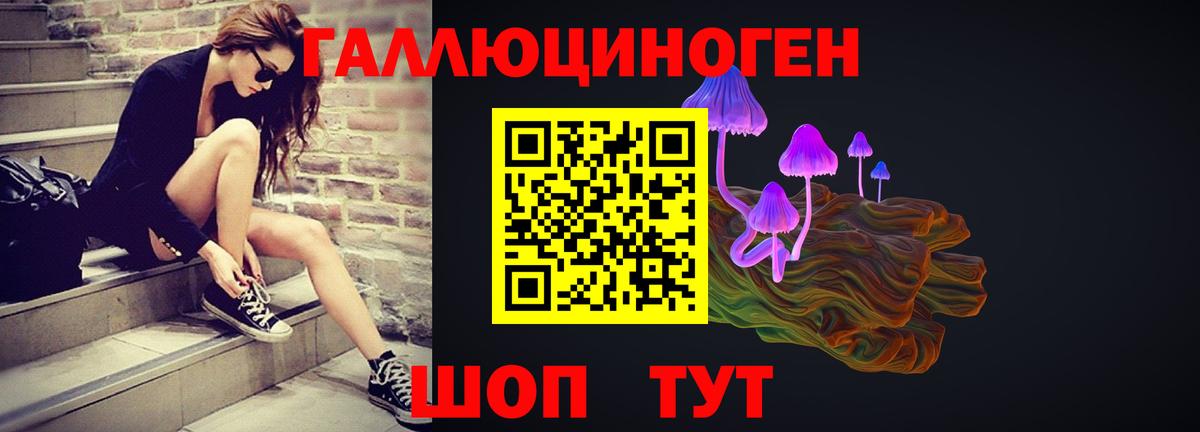 Псилоцибиновые грибы мицелий Благовещенск
